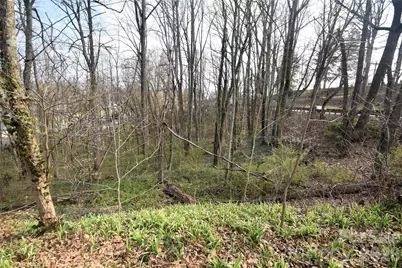 0000 S Main Street, Waynesville, NC 28786 - Photo 3