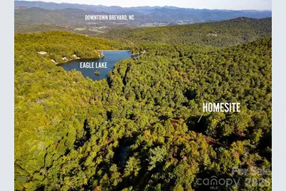 Tbd Rock Face Road #L298, Brevard, NC 28712 - Photo 3