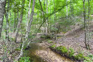 0 Old Charlotte Hwy, Rockingham, NC 28379 - Photo 1