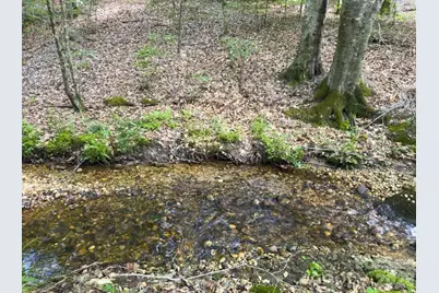 0 Old Charlotte Highway, Rockingham, NC 28379 - Photo 3