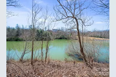 82 Narrows Run Loop, Hendersonville, NC 28791 - Photo 3