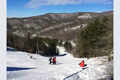 1065 Oak Ridge Lane #713, Mars Hill, NC 28754 - Photo 45