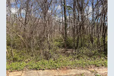 0 Lynnbrook Way, Columbus, NC 28722 - Photo 7