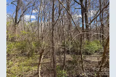 0 Lynnbrook Way, Columbus, NC 28722 - Photo 5