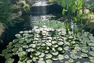 1701 Fulton Ave, Charlotte, NC 28205 - Photo 43