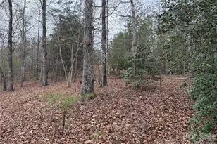 0 Shady Bark Ln, Rutherfordton, NC 28139 - Photo 1