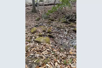 0 Shady Bark Lane #40, Rutherfordton, NC 28139 - Photo 3