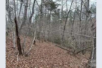 0 Shady Bark Lane #40, Rutherfordton, NC 28139 - Photo 21