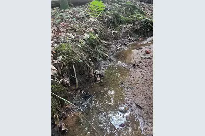 0 Shady Bark Lane #40, Rutherfordton, NC 28139 - Photo 27