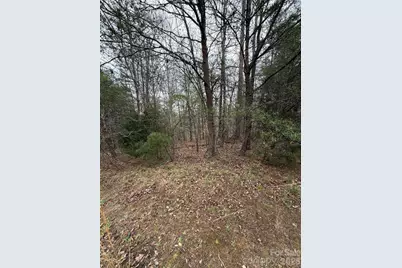 0 Shady Bark Lane #40, Rutherfordton, NC 28139 - Photo 11