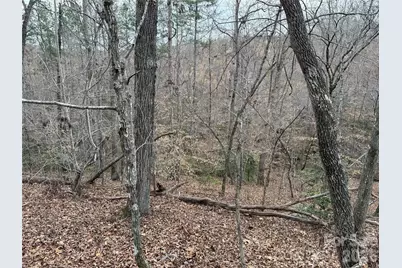 0 Shady Bark Lane #40, Rutherfordton, NC 28139 - Photo 19