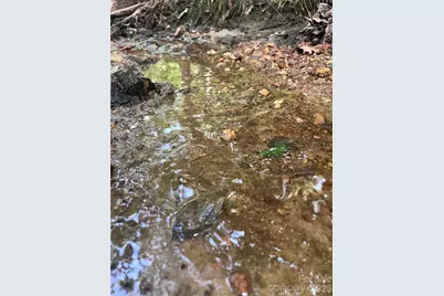 0 Shady Bark Lane #40, Rutherfordton, NC 28139 - Photo 25