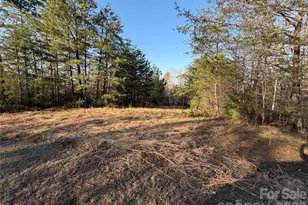 0 Shady Bark Ln, Rutherfordton, NC 28139 - Photo 1