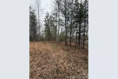 0 Shady Bark Lane #40, Rutherfordton, NC 28139 - Photo 7
