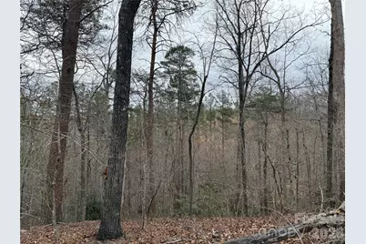 0 Shady Bark Lane #40, Rutherfordton, NC 28139 - Photo 17