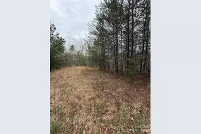 0 Shady Bark Lane #40, Rutherfordton, NC 28139 - Photo 5