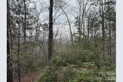 0 Shady Bark Lane #40, Rutherfordton, NC 28139 - Photo 13