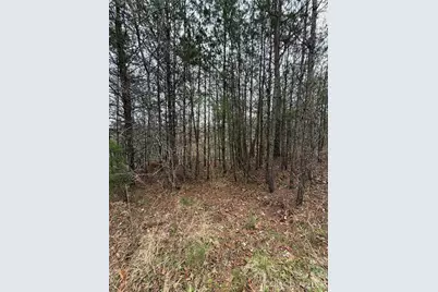 0 Shady Bark Lane #40, Rutherfordton, NC 28139 - Photo 9