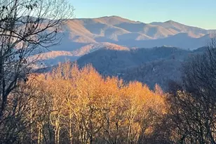 68 Lakey Gap Heights, Black Mountain, NC 28711 - Photo 47