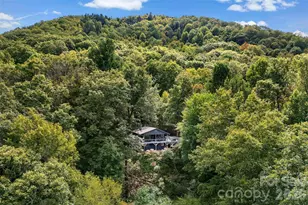 68 Lakey Gap Heights, Black Mountain, NC 28711 - Photo 41