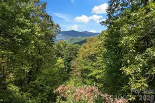 68 Lakey Gap Heights, Black Mountain, NC 28711 - Photo 45