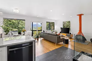 68 Lakey Gap Heights, Black Mountain, NC 28711 - Photo 19