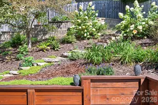 13 North St, Asheville, NC 28801 - Photo 29