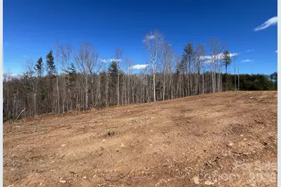 V/L Vein Mountain Road, Nebo, NC 28761 - Photo 5