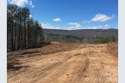 V/L Vein Mountain Road, Nebo, NC 28761 - Photo 9
