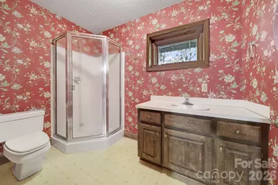 10601 Agnes Douglas Road, Indian Land, SC 29707 - Photo 37