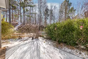 5254 Fire Water Ln, Indian Land, SC 29707 - Photo 31