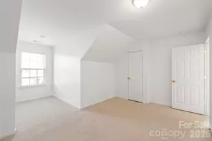 5254 Fire Water Ln, Indian Land, SC 29707 - Photo 29