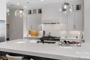 164 Palmer Marsh Pl, Mooresville, NC 28117 - Photo 11