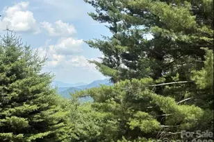 30 Grove Park, Waynesville, NC 28786 - Photo 23