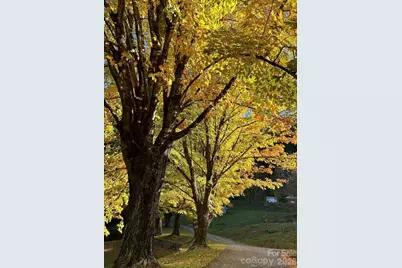 30 Grove Park, Waynesville, NC 28786 - Photo 25