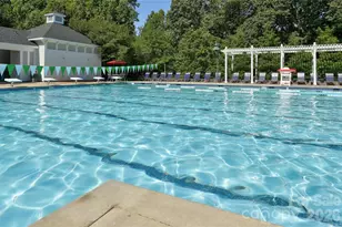 3264 Richard's Crossing, Fort Mill, SC 29708 - Photo 45