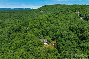 163 Northern Lights Ln, Hendersonville, NC 28739 - Photo 3