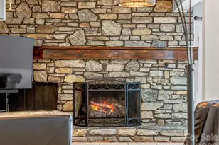 163 Northern Lights Ln, Hendersonville, NC 28739 - Photo 23