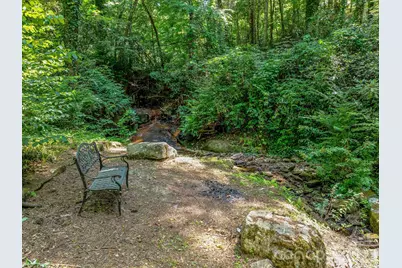 163 Northern Lights Lane, Hendersonville, NC 28739 - Photo 47