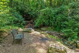 163 Northern Lights Ln, Hendersonville, NC 28739 - Photo 47