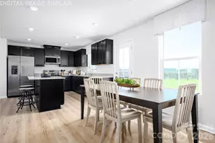 11009 Rococo Ln, Charlotte, NC 28214 - Photo 5