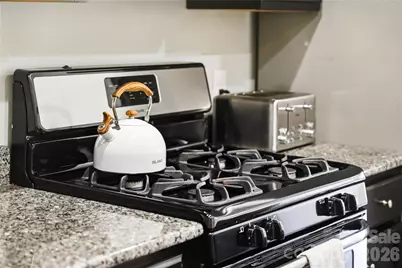 3157 Delaware Drive, Denver, NC 28037 - Photo 11