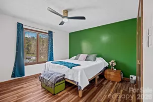 39 Spooks Branch Extension, Asheville, NC 28804 - Photo 19