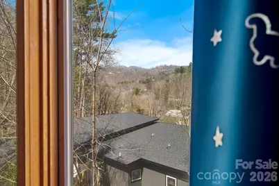 39 Spooks Branch Extension, Asheville, NC 28804 - Photo 21