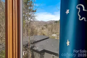 39 Spooks Branch Extension, Asheville, NC 28804 - Photo 21