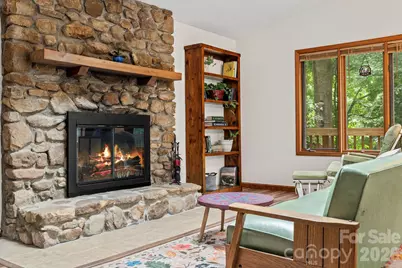 39 Spooks Branch Extension, Asheville, NC 28804 - Photo 9