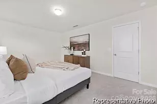 1137 Lorrie Ln, Albemarle, NC 28001 - Photo 13