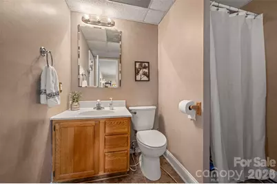 379 Moss Drive, Rutherfordton, NC 28139 - Photo 29