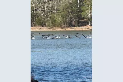 1802 Goings Road, Chester, SC 29706 - Photo 7