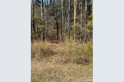 1802 Goings Road, Chester, SC 29706 - Photo 3